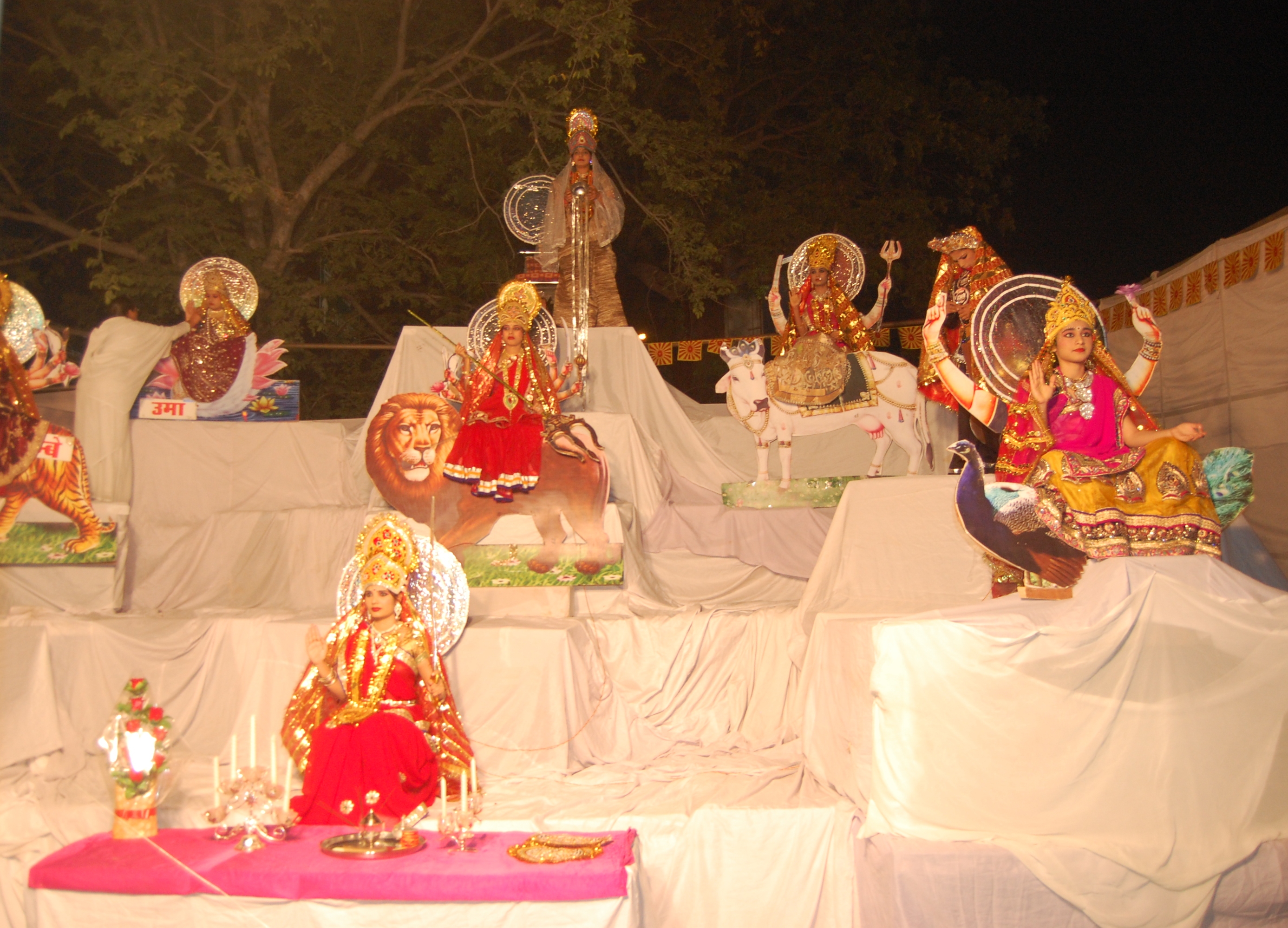 तृतीय हिन्दू आध्यात्मिक एवं सेवा मेला का शुभारम्भ जयपुर में